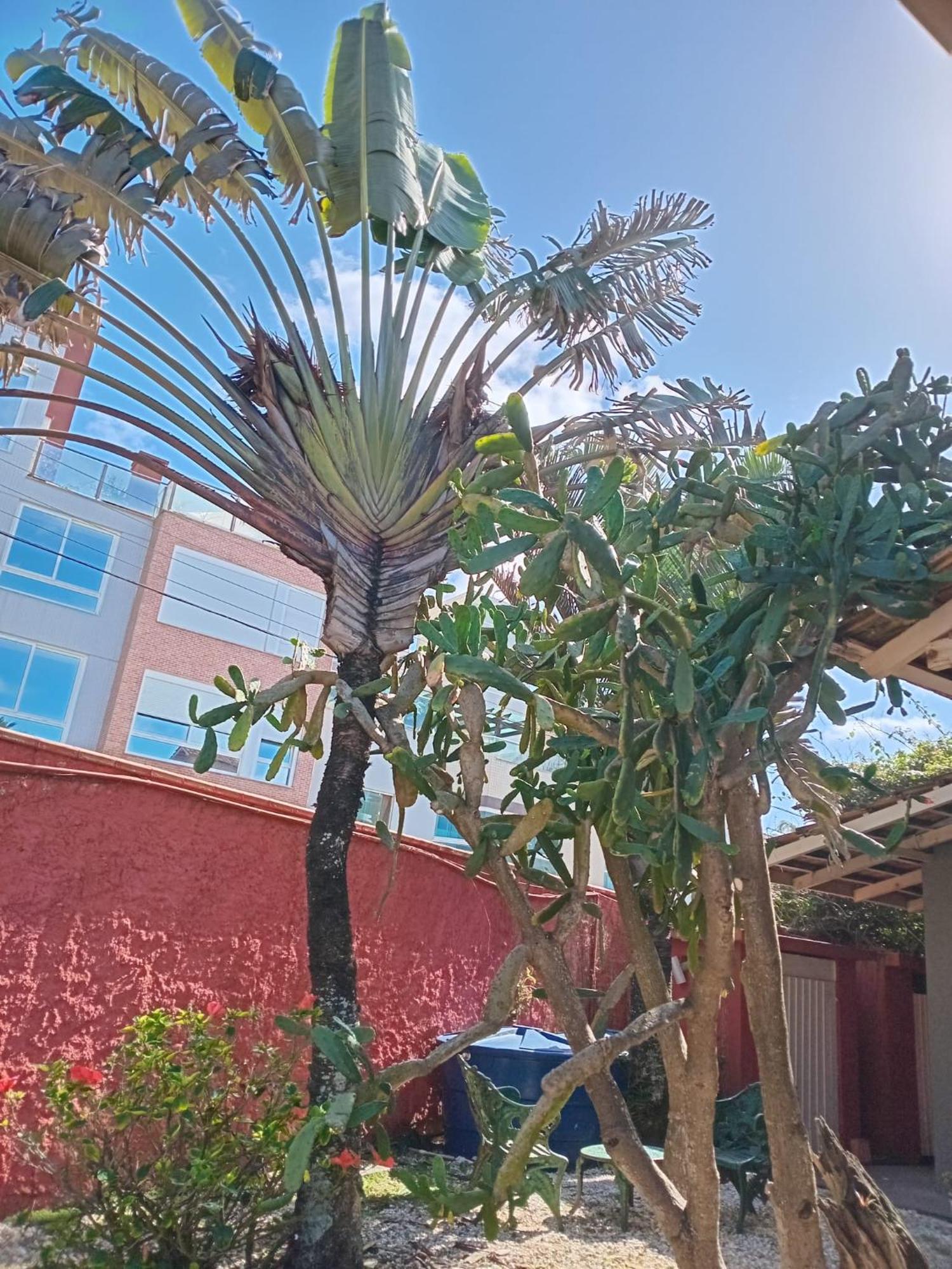 Penelope Casa de hóspedes Balneario Camboriu